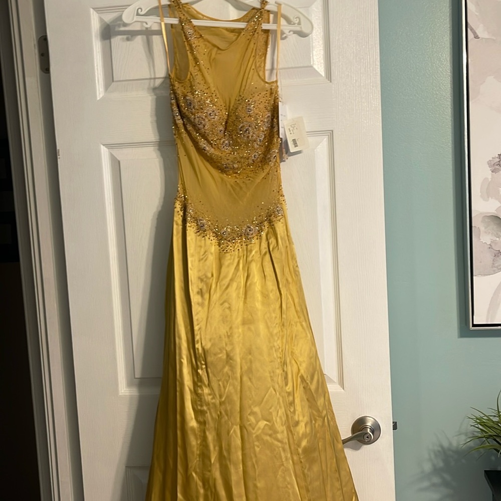 Gorgeous gold silk beaded and sheer gown. Never worn.